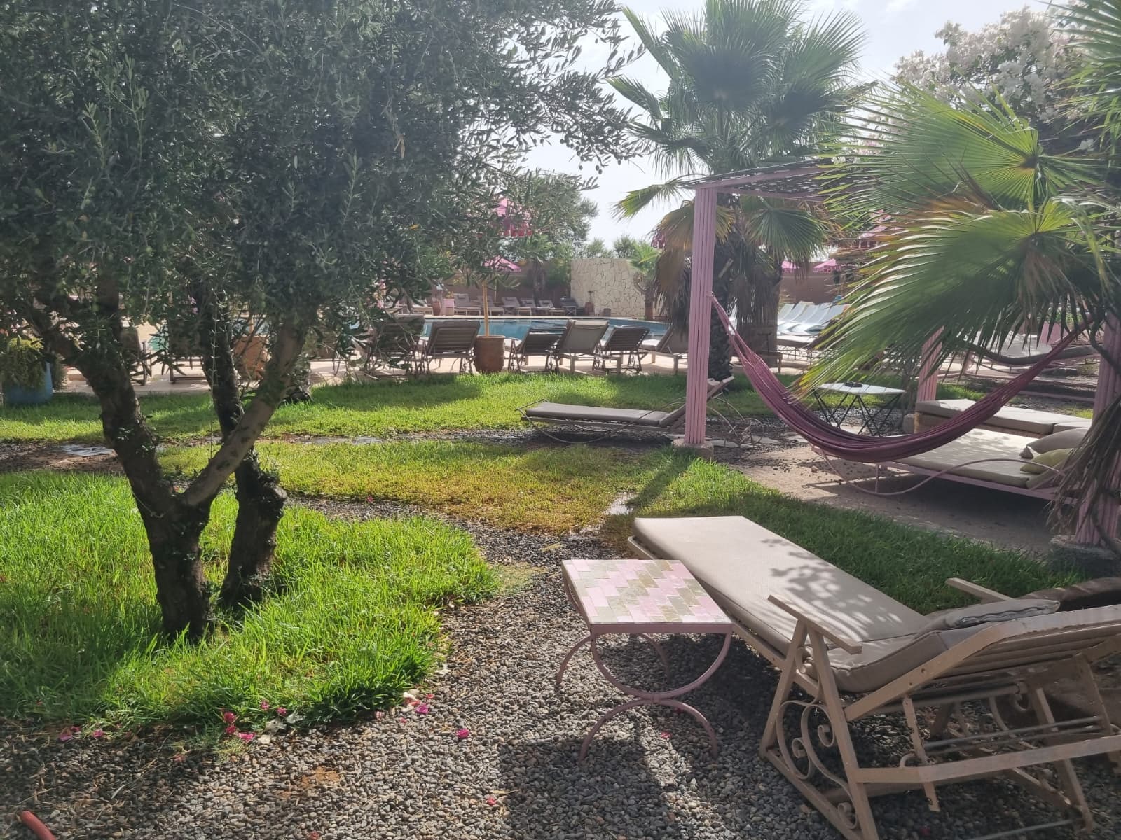 Hamac rose sous les palmiers du jardin
