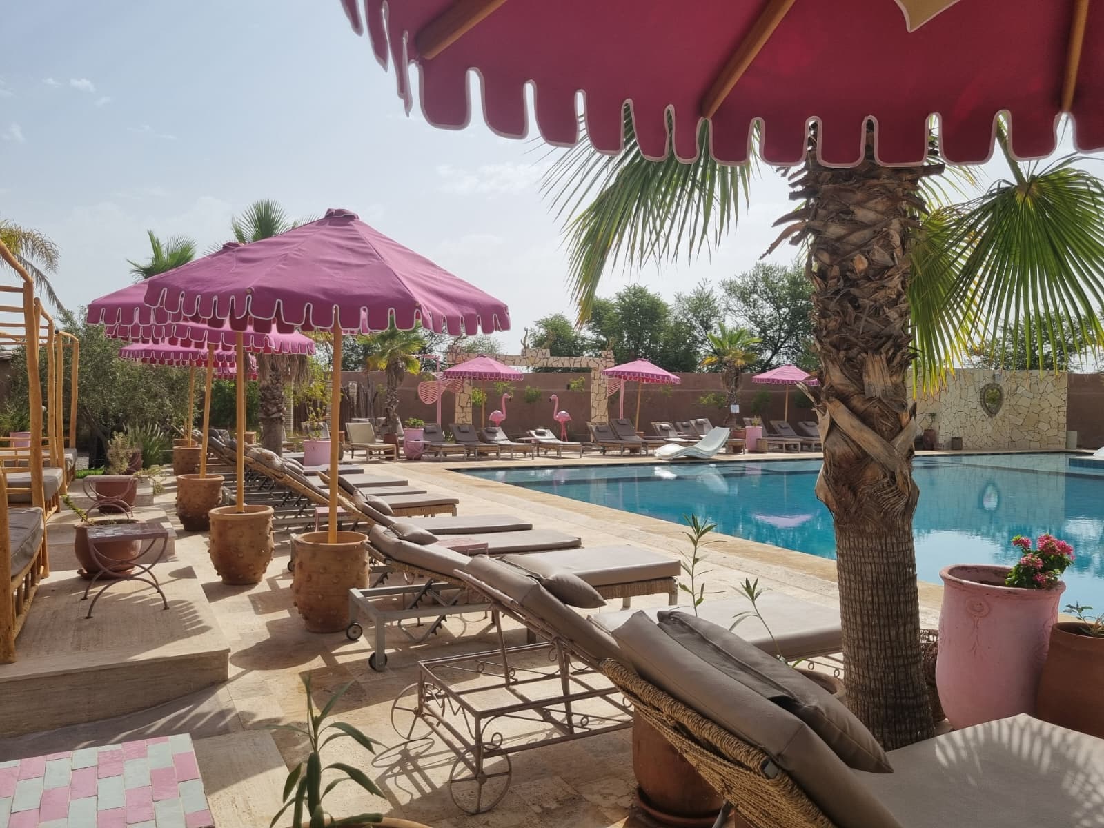 Transats et parasols roses au bord de la piscine à Marrakech